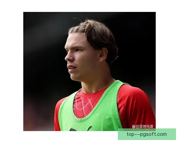 南安普顿成功签下哈伍德贝利斯 完成后卫买断交易